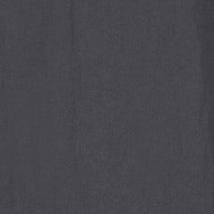 Alva Skate Trouser